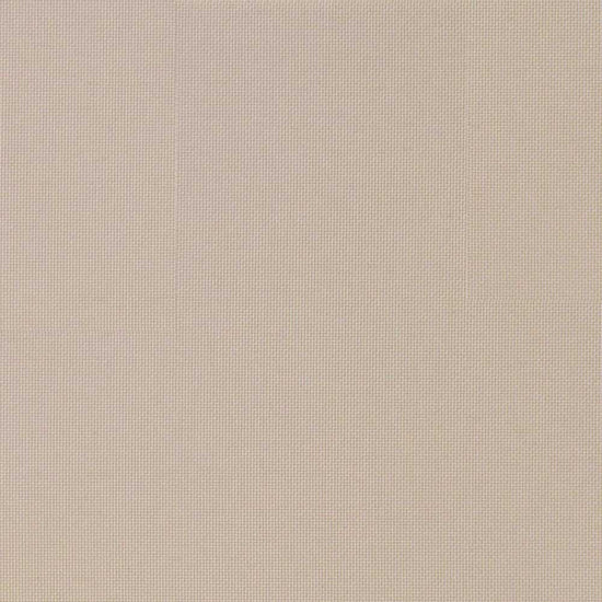 ロールスクリーン 採光タイプ グレージュ TR-1010