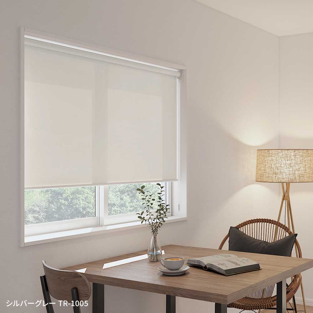 施工イメージ シルバーグレー TR-1005