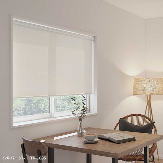 施工イメージ シルバーグレー TR-1005