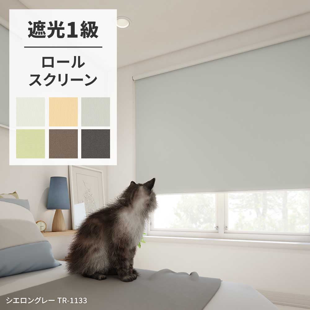 ロールスクリーン 遮光1級 6色
