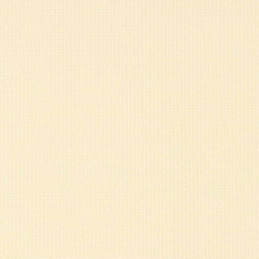 ロールスクリーン 洗える+レースタイプ ナチュール TR-1592