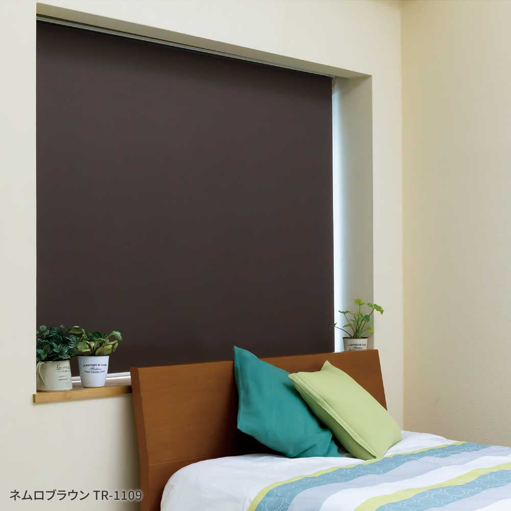 施工イメージ ネムロブラウン TR-1109