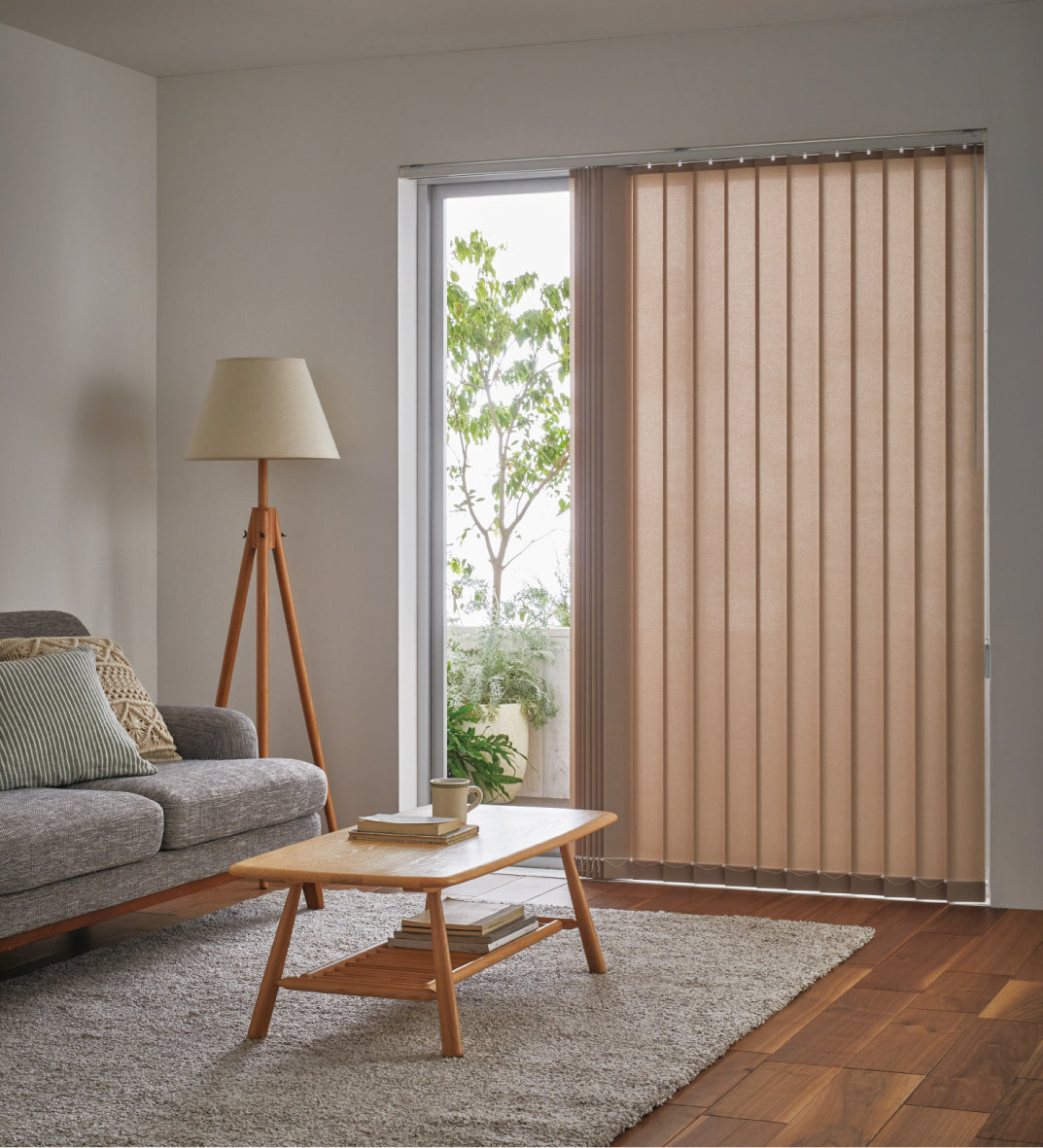 ミディアム 室内から室外 昼の画像