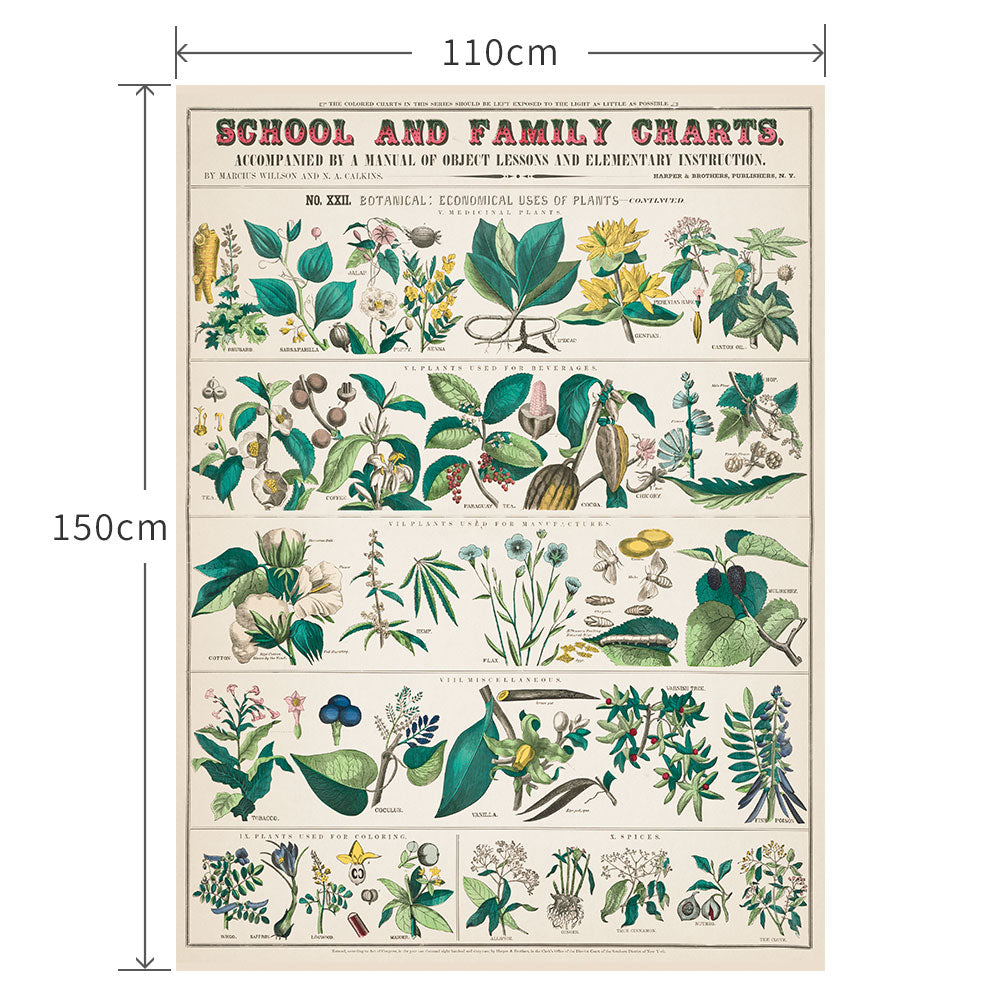 110cm×150cm botanical: economical uses of plants