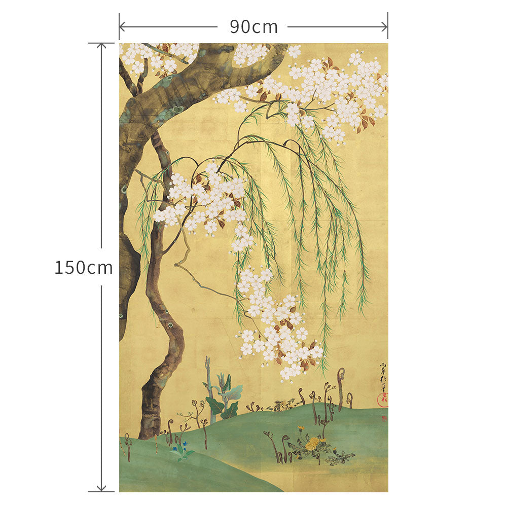 90cm×150cm 酒井抱一 桜楓図屏風 右隻