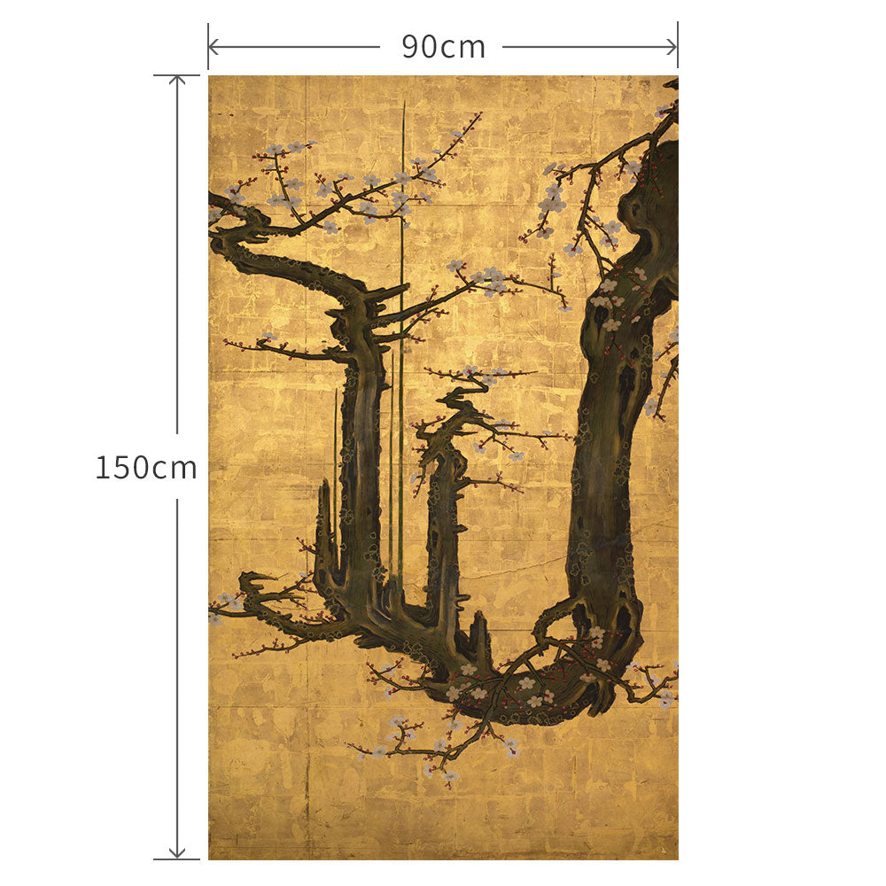 90cm×150cm 狩野山雪 老梅図