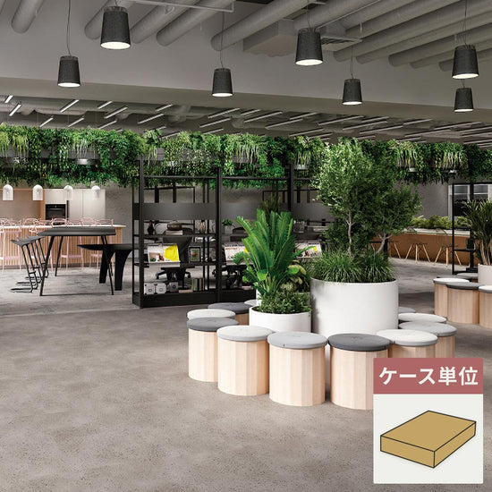 フロアタイル サンゲツ コンクリート スピネルコンクリート 【1ケース(10枚入)単位で販売】 OT-5344