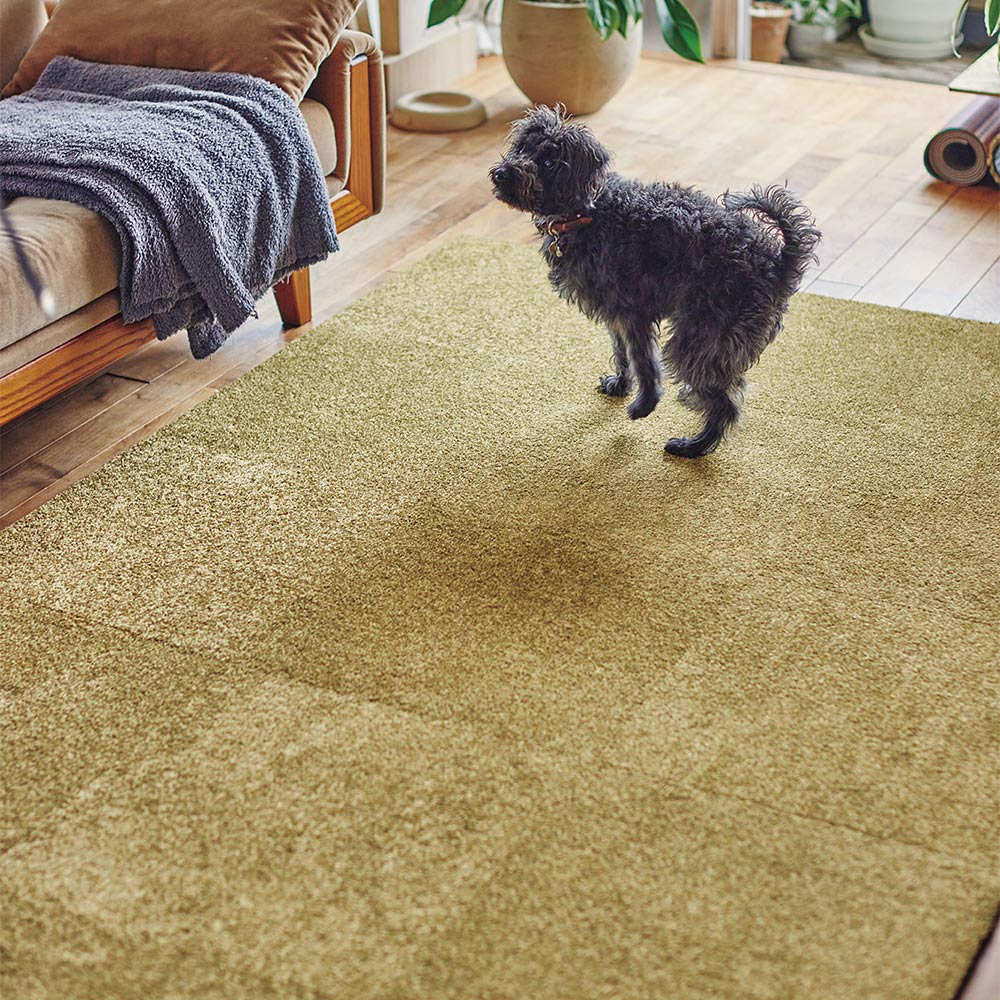 洗えるタイルカーペット 東リ ファブリックフロア スクエア2400 ソワレ 【1枚単位で販売】 FF2414 ラフランス 吸着タイプ 床暖房対応