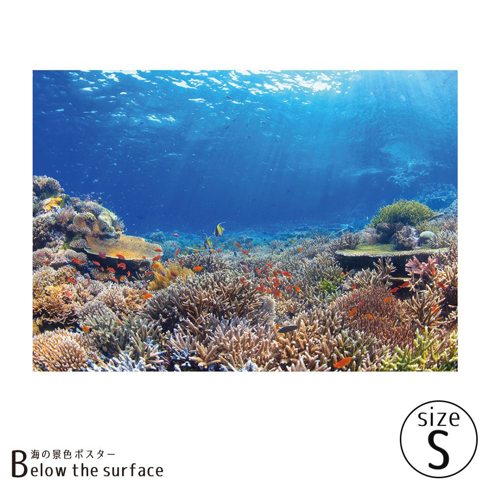 【鍵井 靖章 Yasuaki Kagii】海の景色ポスター Below the surface S No.6