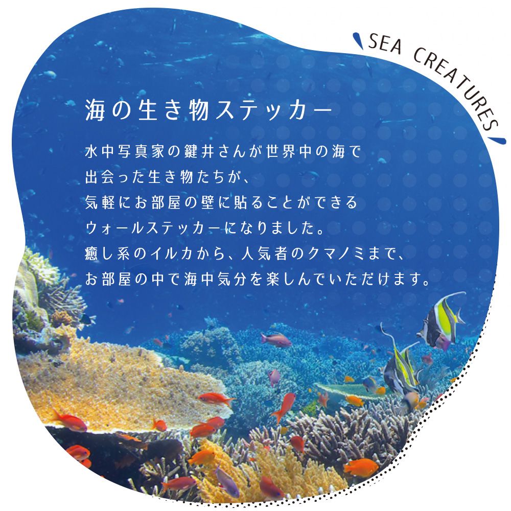 【鍵井 靖章 Yasuaki Kagii】海の生き物ステッカー Sea creatures L マンタ(左向き)