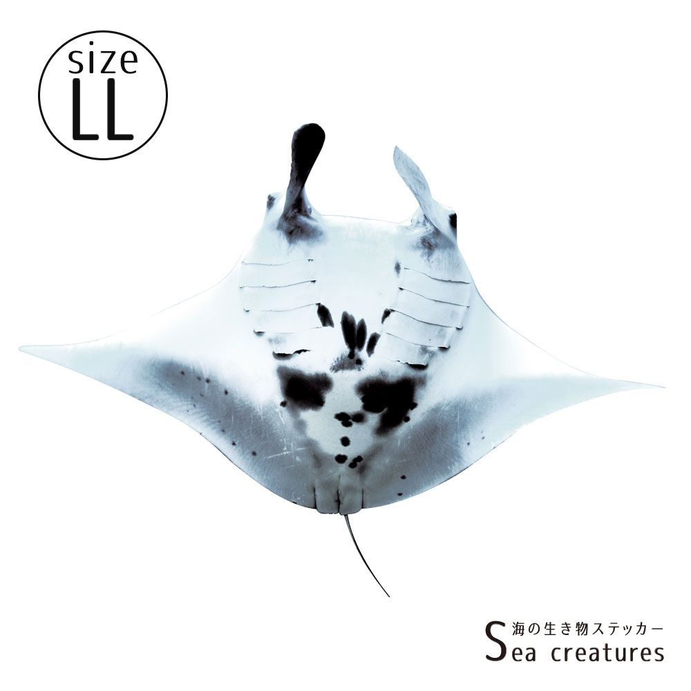 【鍵井 靖章 Yasuaki Kagii】海の生き物ステッカー Sea creatures LL マンタ(右向き)