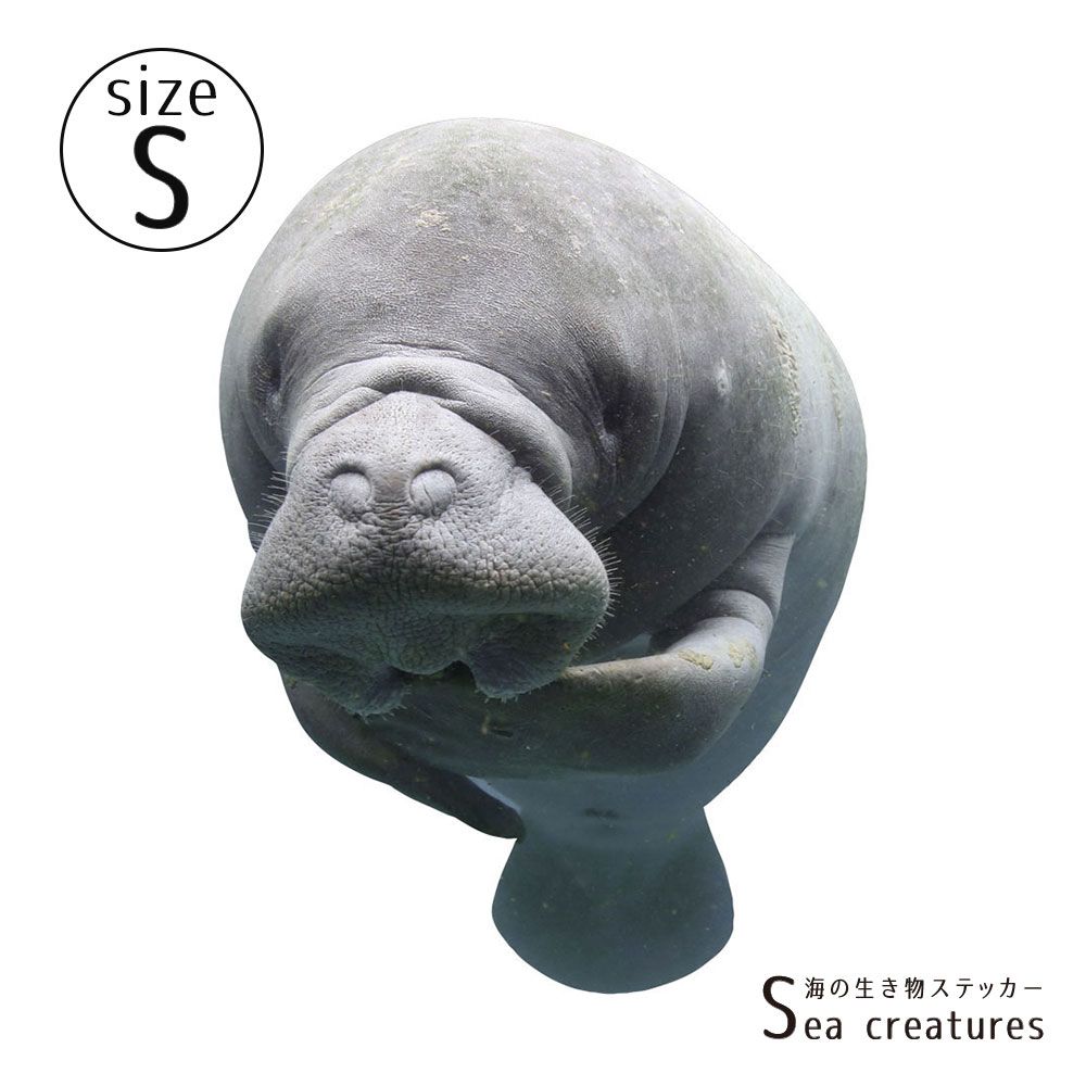 【鍵井 靖章 Yasuaki Kagii】海の生き物ステッカー Sea creatures S マナティ(左向き)