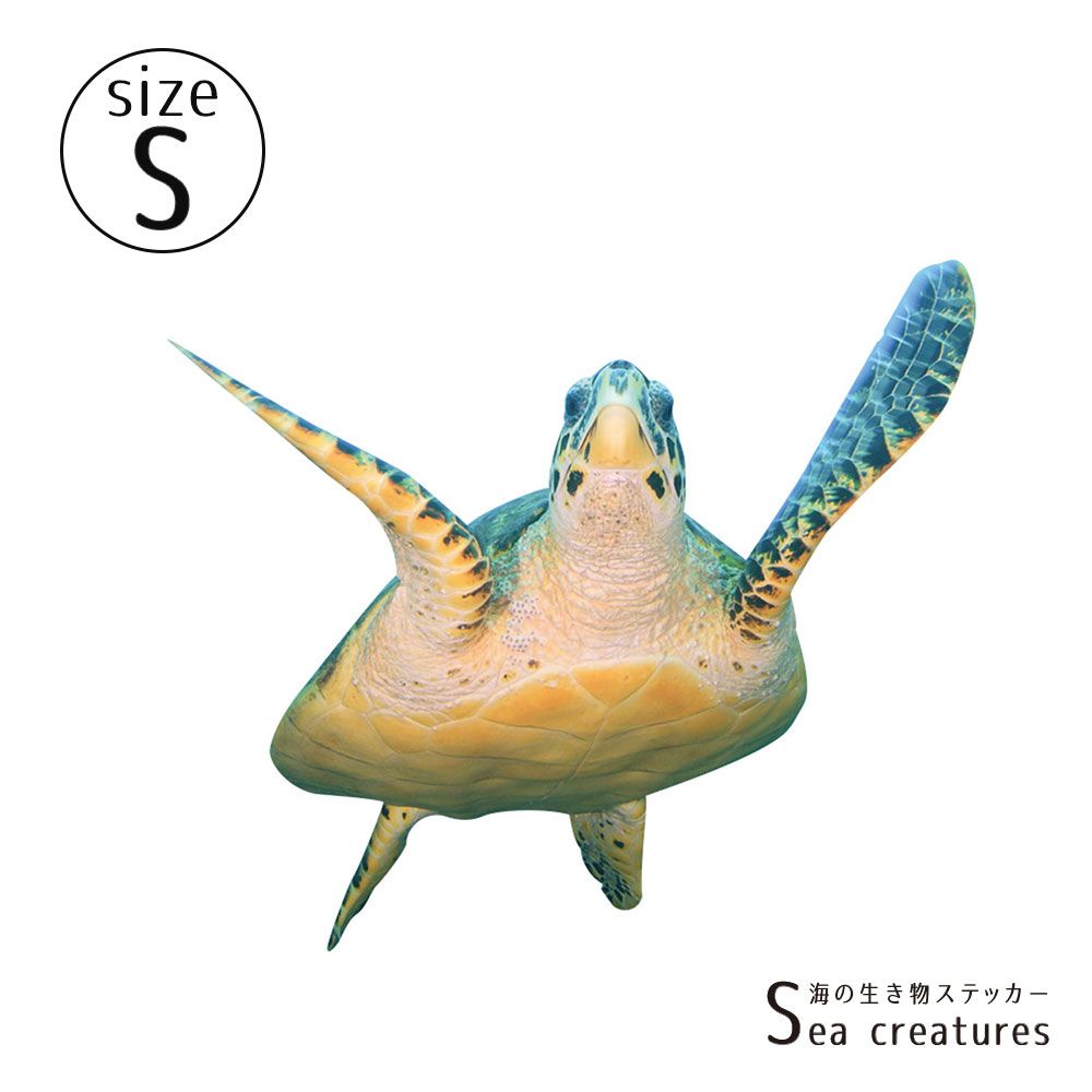 【鍵井 靖章 Yasuaki Kagii】海の生き物ステッカー Sea creatures S タイマイ(右向き)