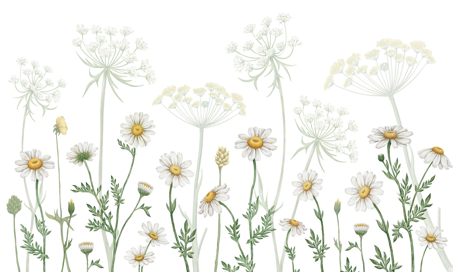 はがせるミューラル壁紙 のりなし KIKKI BELLE Dazzling Daisies White W13365