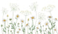 はがせるミューラル壁紙 のりなし KIKKI BELLE Dazzling Daisies White W13365