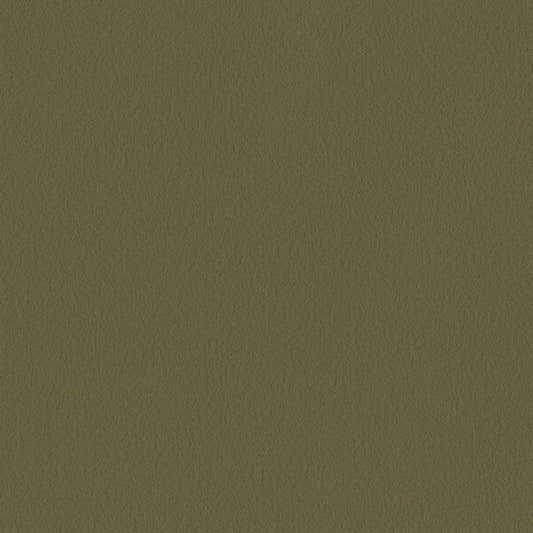 LL-6043 壁紙 のり付き クロス / リリカラ / ライト グリーンの無地【15m+施工道具セット】