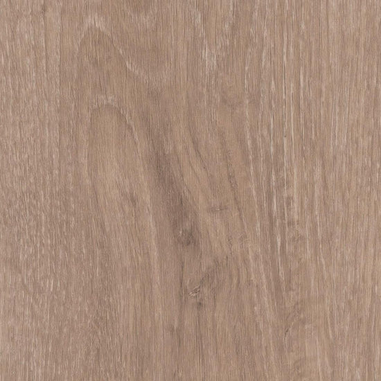 LL-6100　俯瞰画像