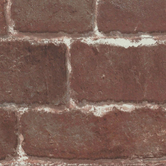 LL-6161　俯瞰画像