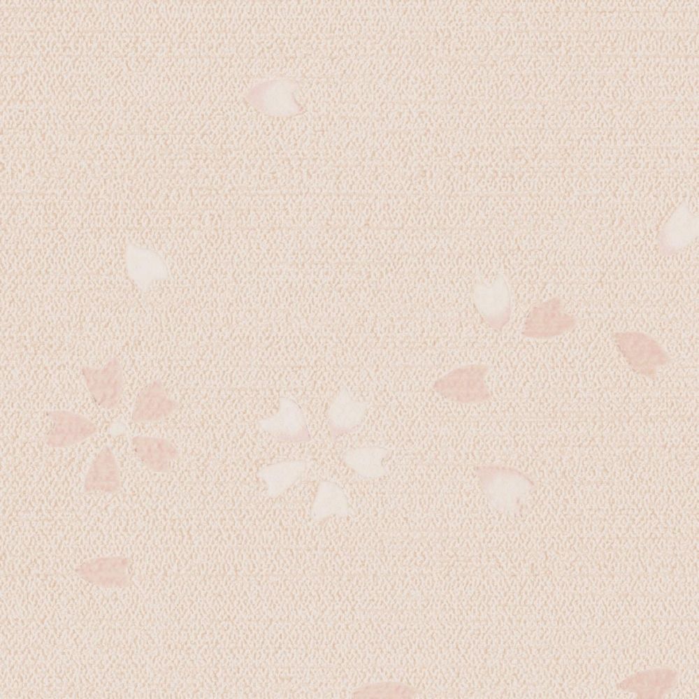 LL-6258　俯瞰画像