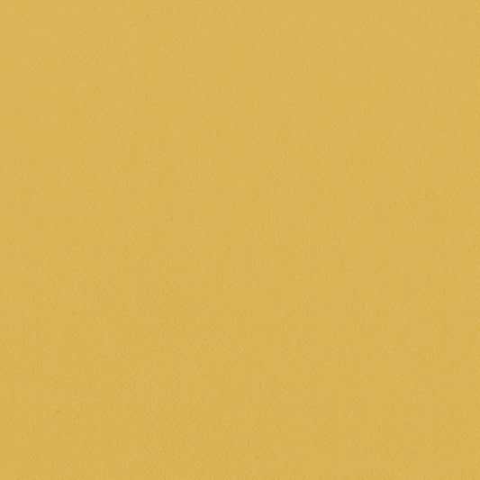 LL-6303 LV-2021 LW-97 壁紙 のり付き クロス / リリカラ / ライト イエローの無地【30m+施工道具セット】