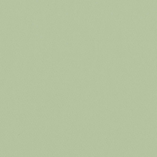 LL-6306 LV-2024 LW-100 壁紙 のり付き クロス / リリカラ / ライト グリーンの無地【10mパック】