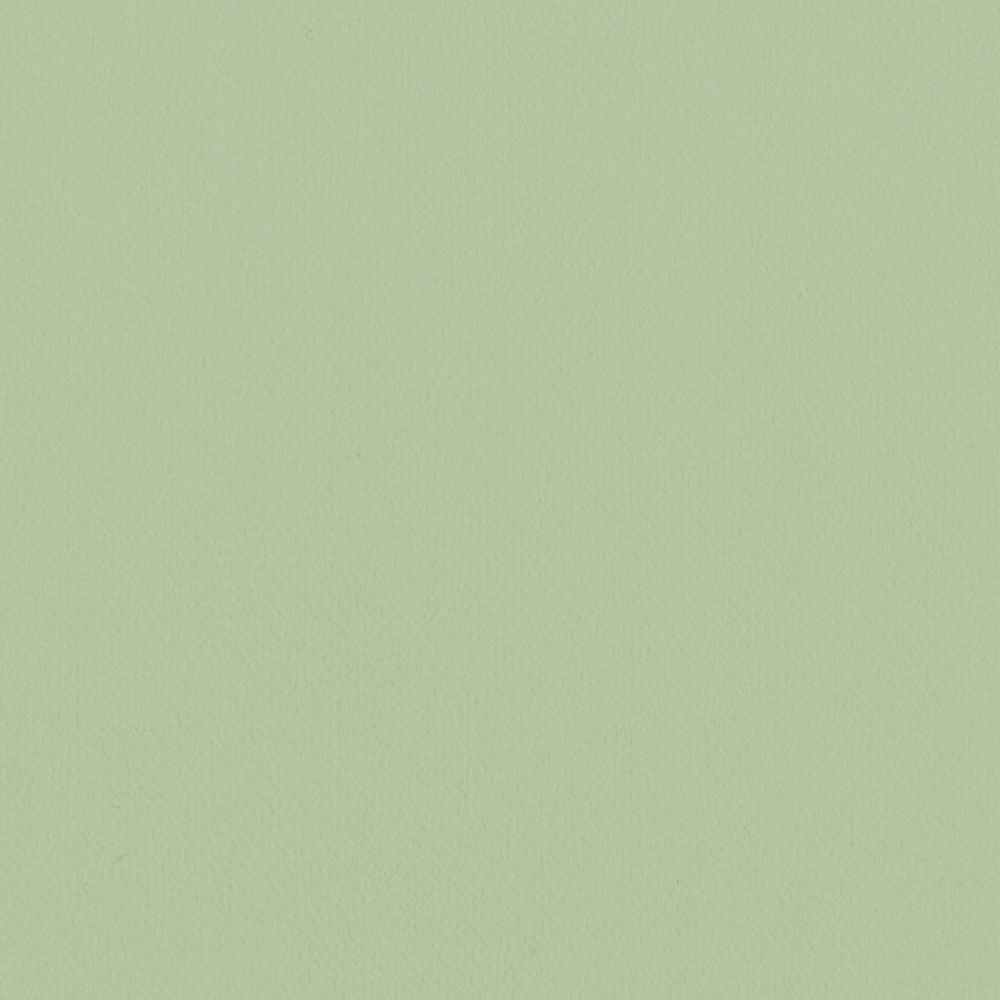 LL-6306 LV-2024 LW-100 壁紙 のりなし クロス / リリカラ / ライト グリーンの無地【1m単位切り売り】