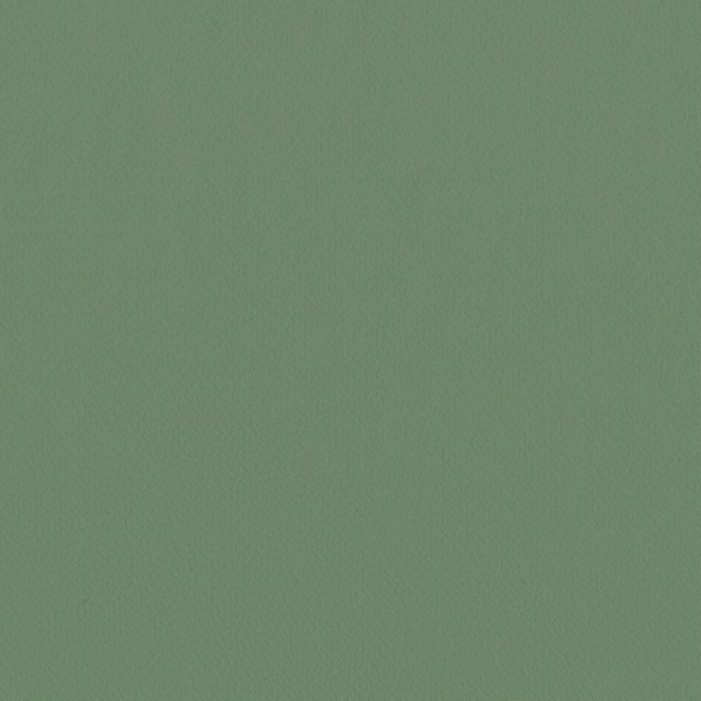 LL-6307 LV-2026 LW-102 壁紙 のり付き クロス / リリカラ / ライト グリーンの無地【30mパック】