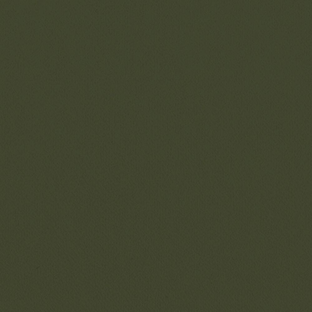 LL-6308 LV-2027 LW-103 壁紙 のり付き クロス / リリカラ / ライト グリーンの無地【10m+施工道具セット】