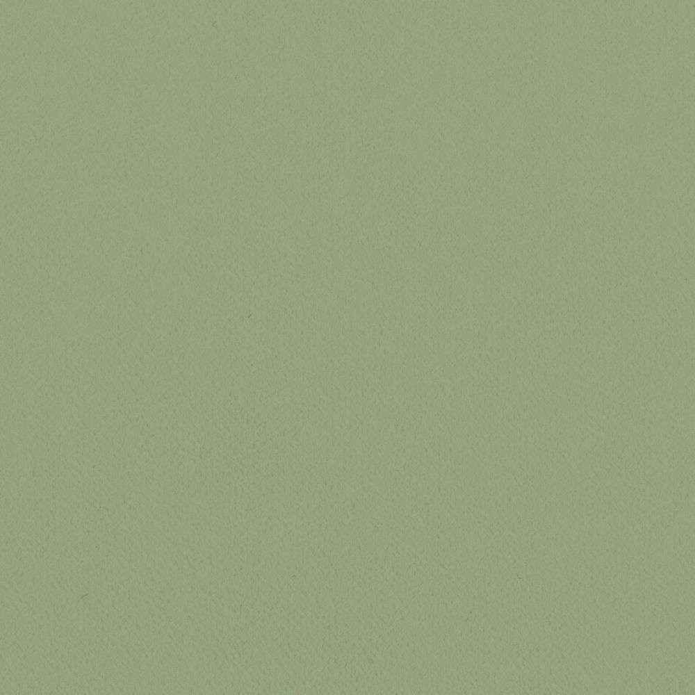 LL-6311 LV-2025 LW-101 壁紙 のり付き クロス / リリカラ / ライト グリーンの無地【15mパック】