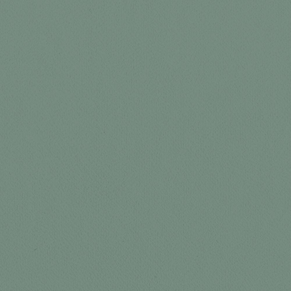 LL-6312 LV-2032 LW-108 壁紙 のり付き クロス / リリカラ / ライト グリーンの無地【30m+施工道具セット】