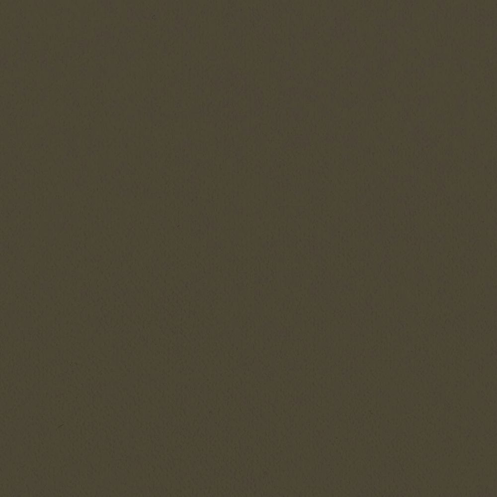 LL-6323 LV-2045 LW-121 壁紙 のり付き クロス / リリカラ / ライト ブラウンの無地【10m+施工道具セット】