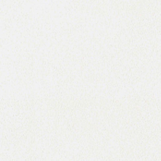 LL-6356 LW-653 壁紙 のりなし クロス / リリカラ / ライト ホワイトの無地【サンプル】