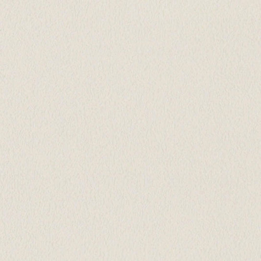 LL-6359 LW-655 壁紙 のりなし クロス / リリカラ / ライト ベージュの無地【50m巻】