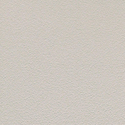 LL-6363 LW-673 壁紙 のりなし クロス / リリカラ / ライト グレーの無地【サンプル】