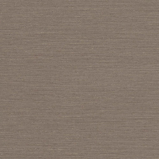 LL-6378 壁紙 のり付き クロス / リリカラ / ライト ブラウンの無地【15m+施工道具セット】