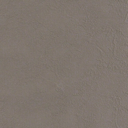 LL-6405 LV-2169 壁紙 のりなし クロス / リリカラ / ライト グレーの無地【サンプル】