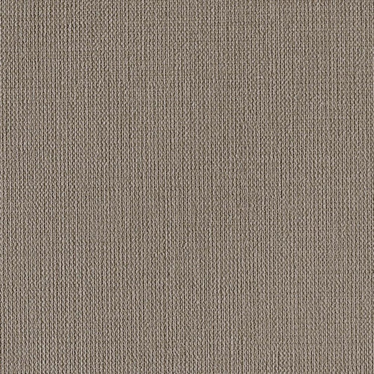 LL-6502 LV-2215 壁紙 のり付き クロス / リリカラ / ライト ベージュの無地【10m+施工道具セット】