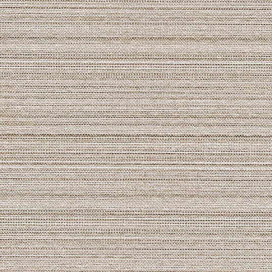 LL-6521 LW-568 壁紙 のり付き クロス / リリカラ / ライト ベージュの無地【30m+施工道具セット】