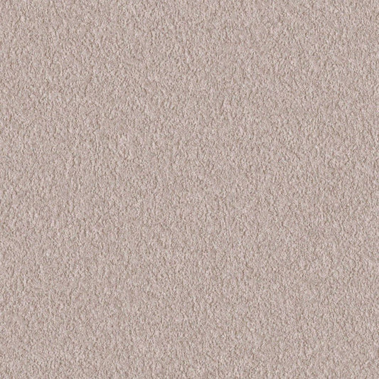 LL-6564 LW-684 壁紙 のり付き クロス / リリカラ / ライト ベージュの無地【30m+施工道具セット】