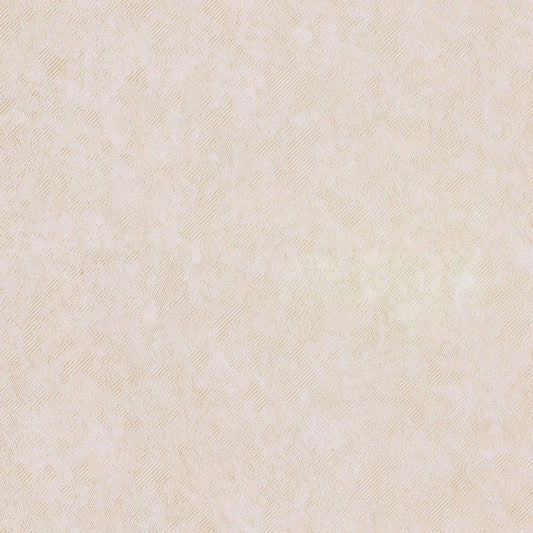 LL-6627　俯瞰画像