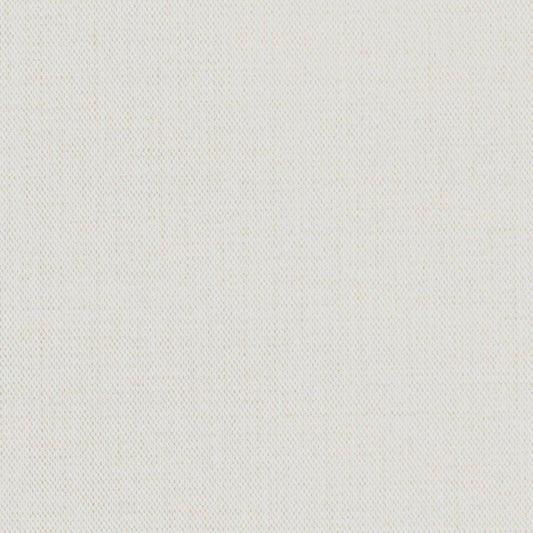 LL-6667 LW-430 壁紙 のりなし クロス / リリカラ / ライト ペットにおすすめ【サンプル】