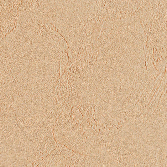 LL-6779 LW-522 壁紙 のり付き クロス / リリカラ / ライト 消臭タイプ【30m+施工道具セット】