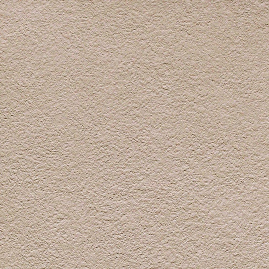 LL-6822 LV-2619 壁紙 のり付き クロス / リリカラ / ライト 消臭タイプ【15m+施工道具セット】