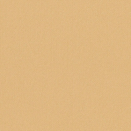 LL-6869 壁紙 のりなし クロス / リリカラ / ライト 消臭タイプ【サンプル】