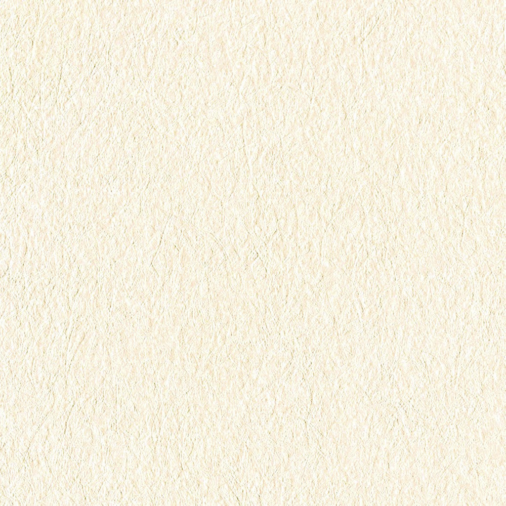 生のり付き【15m+施工道具セット】国産壁紙 クロス / リリカラ / ベージュ LV-2130