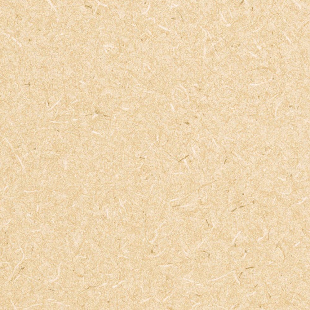 生のり付き【10m+施工道具セット】国産壁紙 クロス / リリカラ / 和室におすすめ LV-2443