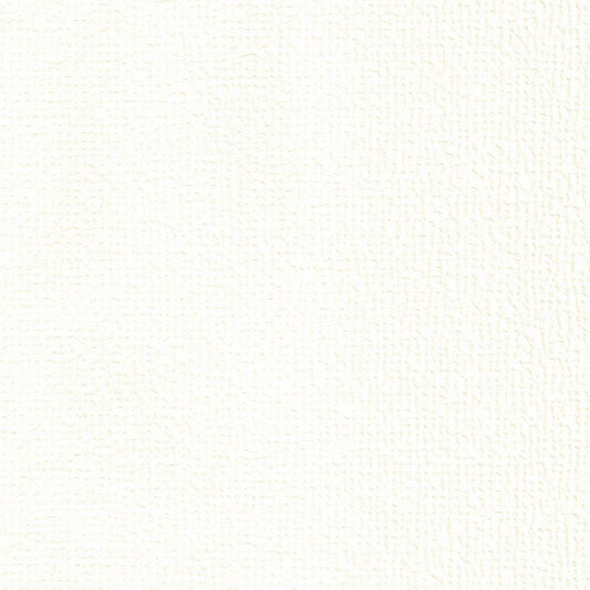 生のり付き【10m+施工道具セット】国産壁紙 クロス / リリカラ / 傷防止におすすめ LV-2503