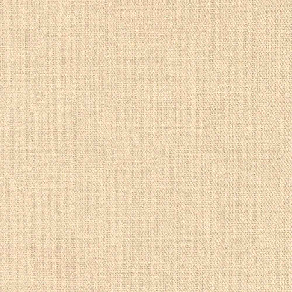 生のり付き【30m+施工道具セット】国産壁紙 クロス / リリカラ / 菌の抑制におすすめ LV-2656