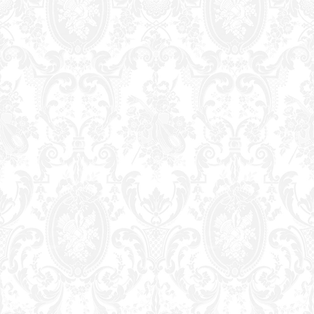 【サンプル】はがせる壁紙 のりなしタイプ  Mon Sucrier ダマスク・レース クイーンマリー NMS-CM07 オパール