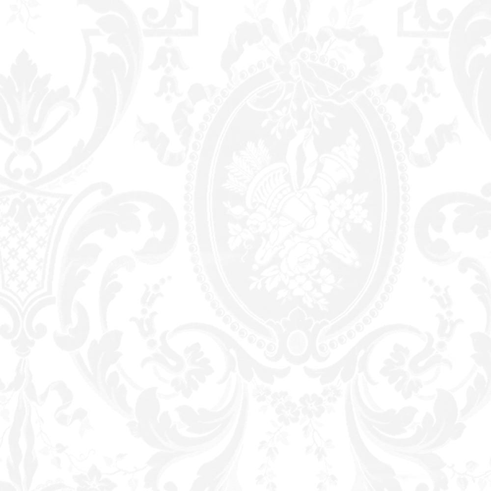 【サンプル】はがせる壁紙 のりなしタイプ  Mon Sucrier ダマスク・レース クイーンマリー NMS-CM07 オパール